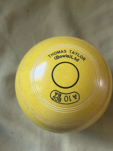 Thomas taylor yellow - thomas, crown