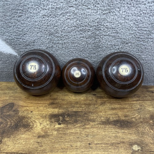 Lignum vitae crown green - lignum,