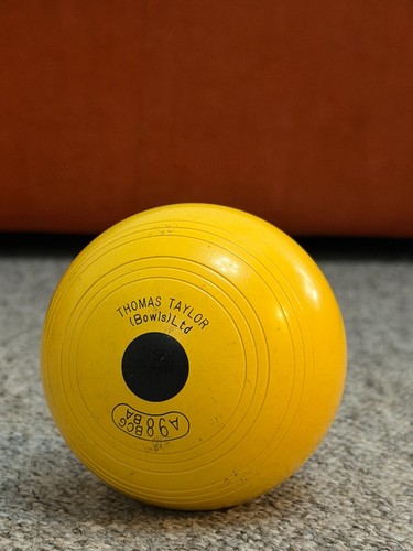 Thomas taylor yellow crown - taylor,