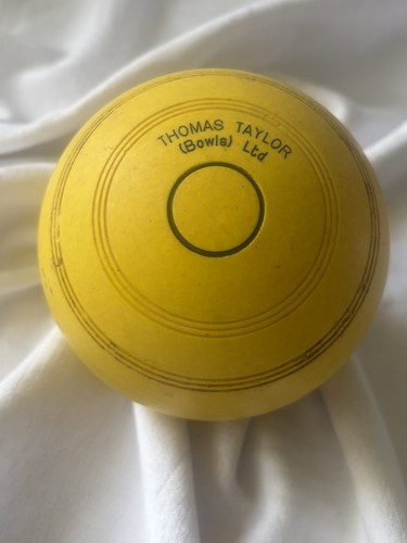 Thomas taylor yellow - thomas,